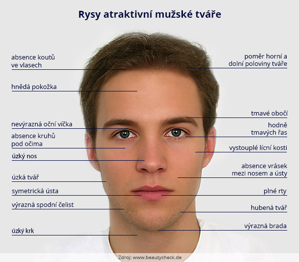 Tisková zpráva: Obrázek k Rysy atraktivní mužské tváře