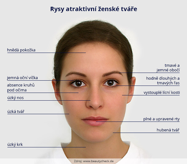 Tisková zpráva: Obrázek k Rysy atraktivní ženské tváře